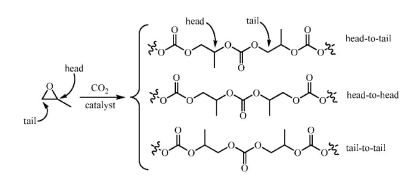 Reaction of CO2 and PO showing various 'head-to-tail' orientations