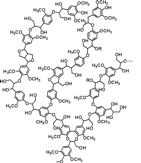 Part of a typical lignin structure
