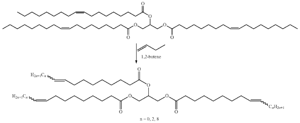 Metathesis reaction of triolein with butene